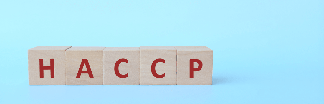 Holzwürfel mit roten Buchstaben „HACCP“ nebeneinander angeordnet, auf blauem Hintergrund mit freiem Raum darüber