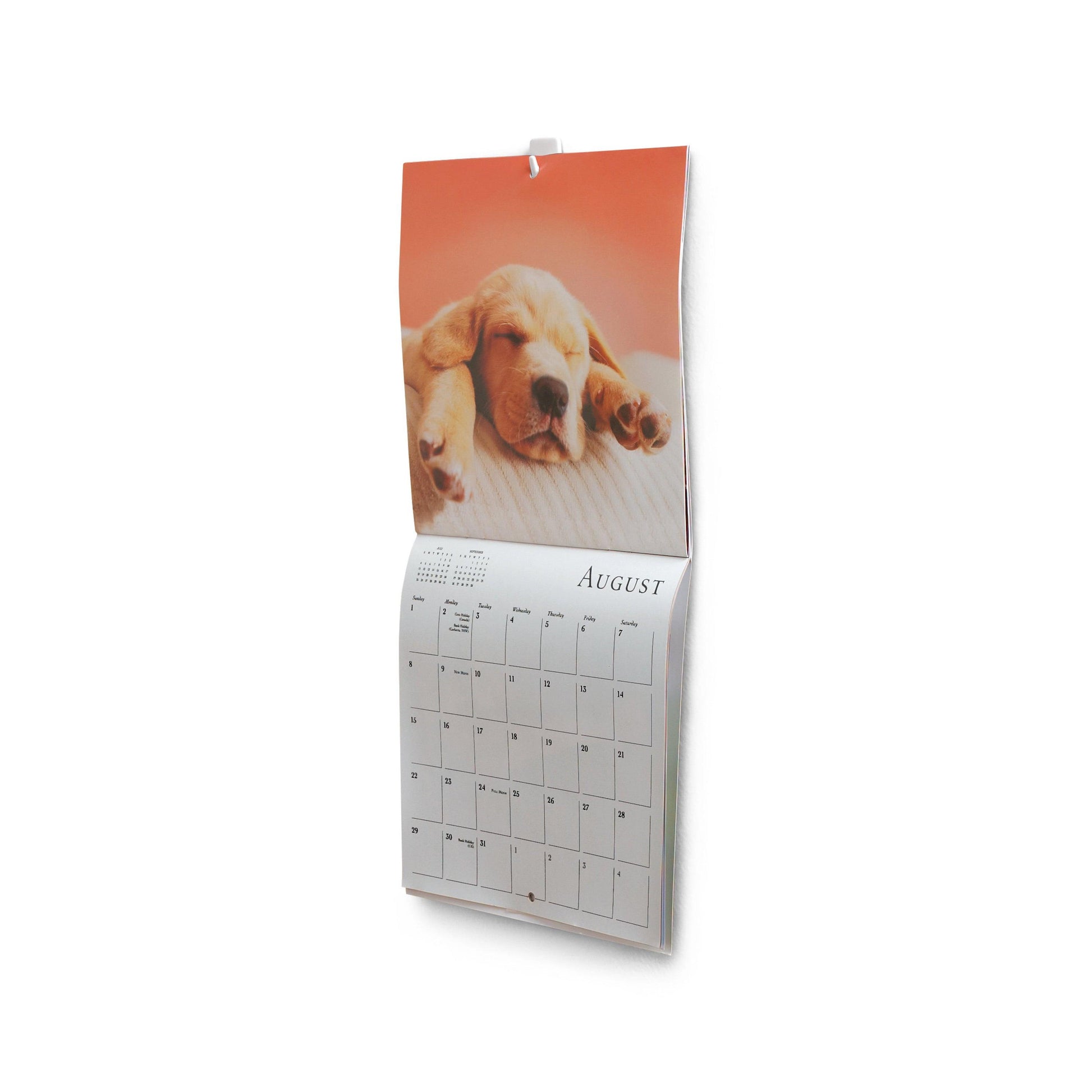 A Command™ Mini-Haken (1 Stück) von 3M Deutschland GmbH, praktisch zum Aufhängen Ihres Kalenders oder anderer leichter Gegenstände an der Wand.