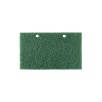Patin excentrique Numatic vert, pour NUEX4325 (430x250 mm) | Paquet (1 pièce)