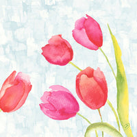 Une aquarelle délicate représentant cinq tulipes roses et rouges aux tiges vertes, inspirée des serviettes 40 x 40 cm, 4 épaisseurs, modèle « Klassik » ornées de tulipes peintes (lot de 50) de la société Duni GmbH, sur un fond bleu clair texturé.