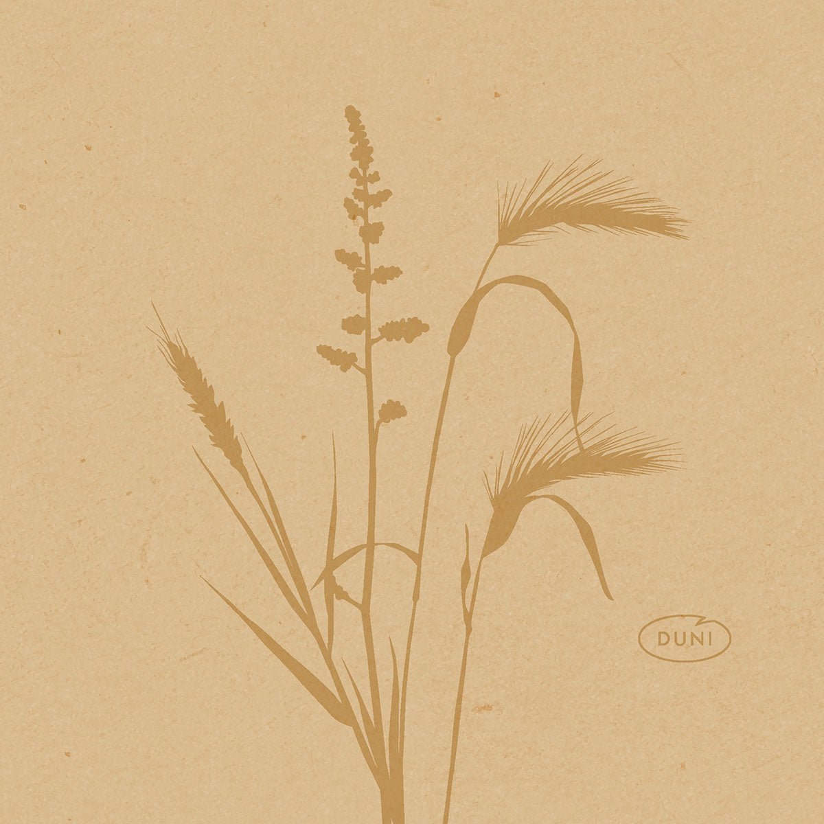 A minimalist illustration of wild grasses and plants in brown tones adorns these 20x20cm organic Dunisoft eco-friendly napkins from Duni GmbH, with the word "DUNI" in an oval at the bottom right on a textured light brown background.