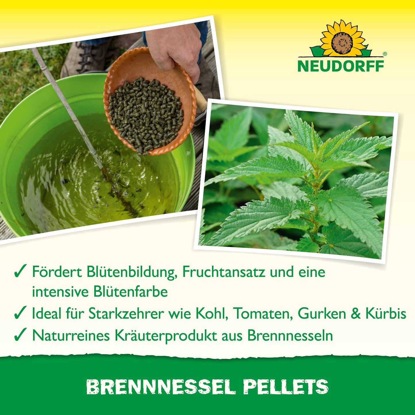 Ein grüner Eimer mit Brennnessel-Jauche und einer Kelle Pellets steht neben Brennnesselblättern. Neudorff Shop Brennnessel Pellets ist ein Pflanzen Stärkungsmittel, das hilft, die Gesundheit der Pflanzen zu steigern.