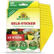 Eine Packung Neudorff Shop Gelb-Sticker enthält 10 gelbe Klebefallen für Zimmerpflanzen, die auf der Vorderseite als wirksam gegen Trauermücken in Kübelpflanzen ausgewiesen sind, mit deutscher Gebrauchsanweisung.