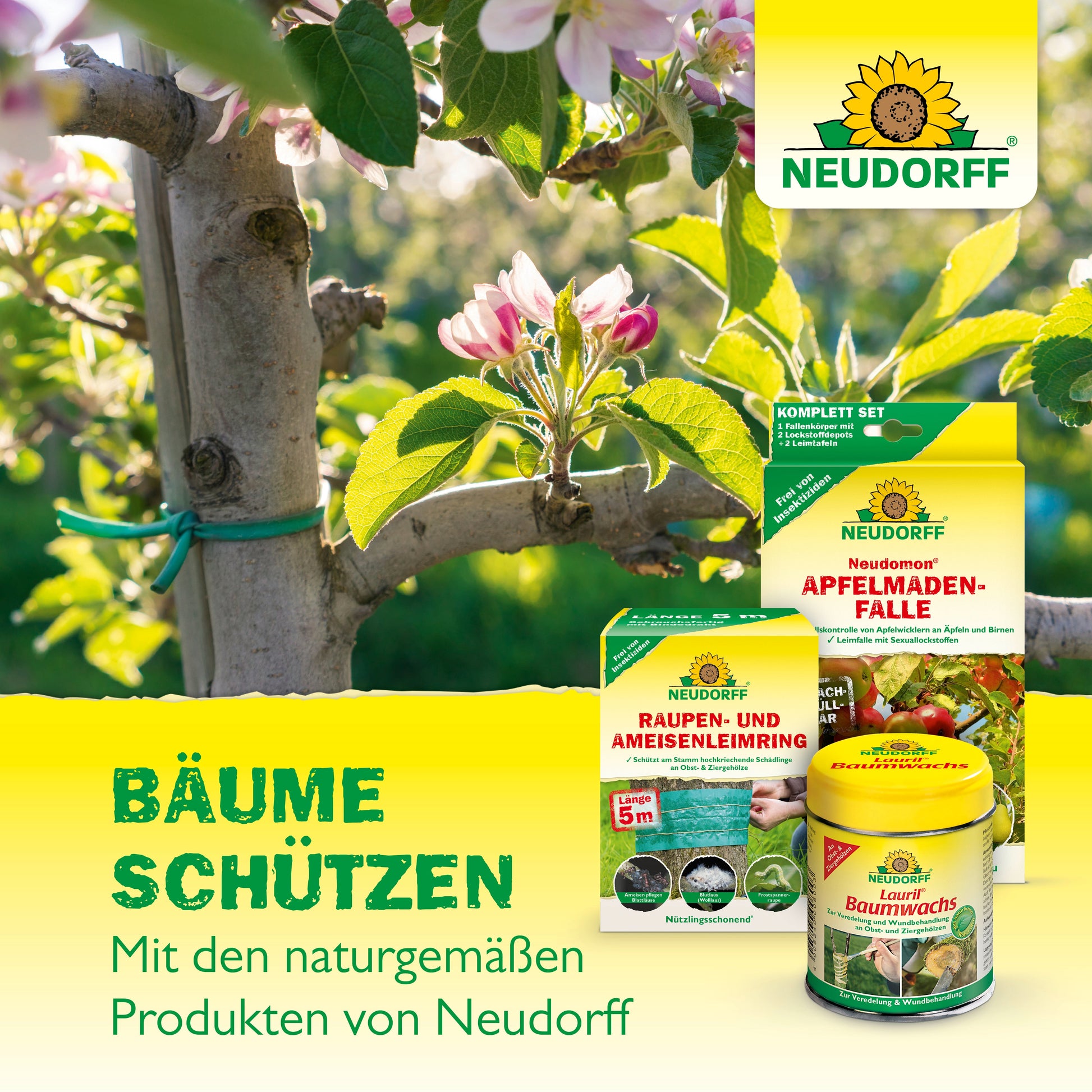 Eine Nahaufnahme eines Apfelbaumzweigs mit Blüten. Im Vordergrund stehen Gartenprodukte des Neudorff Shops, wie Malusan Wundverschluss, Schädlingsfallen und Insektizide. Text: "Bäume schützen mit den naturgemäßen Produkten von Neudorff.