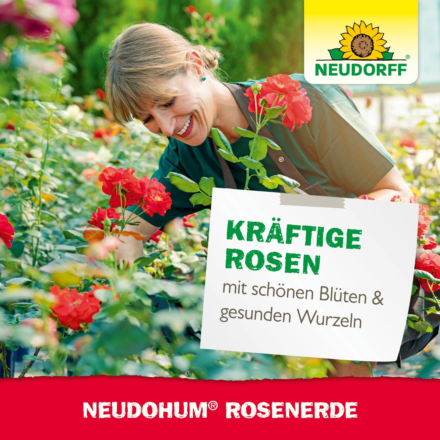 Eine Frau in einer grünen Schürze lächelt, während sie in einem Gartencenter blühende rote Rosen pflegt. Der Text wirbt für Neudorff Shop's NeudoHum RosenErde für kräftige, gesund wurzelnde Rosen. Das Neudorff-Logo ist sichtbar.
