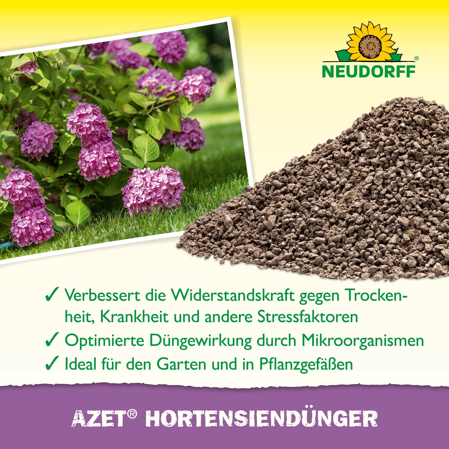 Azet HortensienDünger aus dem Neudorff Shop ist als Granulatdünger neben blühenden lila Hortensien abgebildet und betont die verbesserte Widerstandsfähigkeit und optimale Düngung. Der deutsche Text weist darauf hin, dass er ideal für Garten und Blütenbälle ist. Das Neudorff-Logo befindet sich oben.