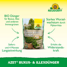 In der Mitte steht ein Beutel Neudorff Shop Azet Buxus- & IlexDünger, der in grüner Schrift auf die lang anhaltenden Vorteile für Buchsbäume und Ilexe und seine Rolle bei der Stärkung der Widerstandsfähigkeit der Pflanzen hinweist.