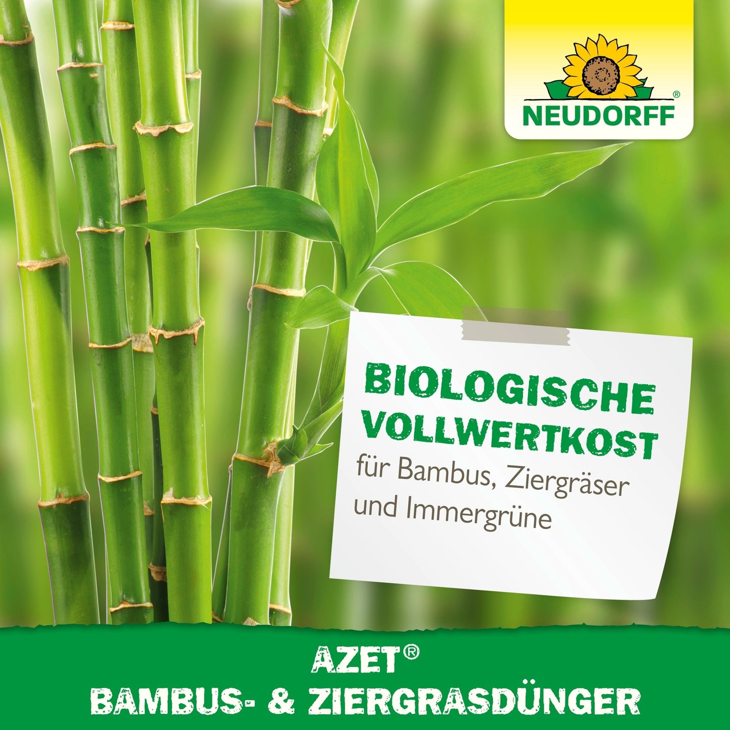 Nahaufnahme von grünen Bambushalmen und Blättern mit dem Logo des Neudorff Shops. Auf einem Etikett steht: "Azet Bambus- & ZiergrasDünger - biologische Vollwertkost und pflegeleicht für Bambus, Gräser und Immergrüne.
