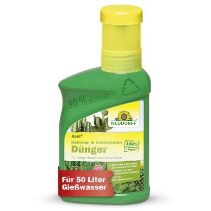 Una bottiglia di plastica verde di Neudorff Shop Azet Fertilizzante liquido per cactus e succulente mostra immagini di cactus, informazioni sul prodotto in tedesco e un banner rosso con "Per 50 litri di acqua di irrigazione" sull'etichetta.