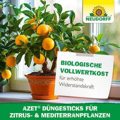 Ein getöpferter Zitrusbaum mit reifen Orangen steht auf einer Fensterbank. Ein deutsches Schild wirbt für Neudorff Shop Azet Düngesticks für Zitrus- & Mediterranpflanzen, ideal für mediterrane Kübelpflanzen, zur Stärkung der Widerstandskraft und für Bio-Nahrung.
