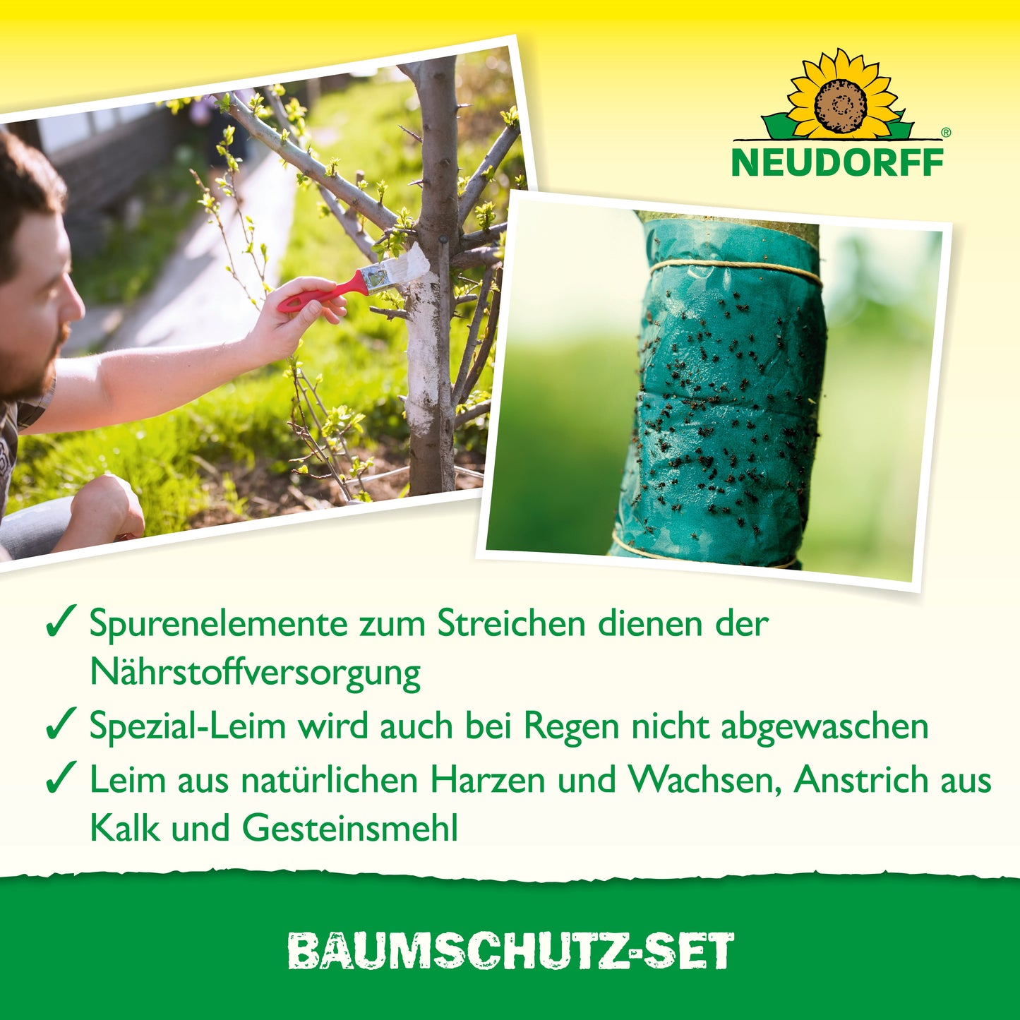 Eine Person trägt Baumschutz-Set-Paste auf einen Baumstamm auf; ein anderes Bild zeigt den mit Leim umwickelten Stamm. Der Text hebt dieses Neudorff Shop-Set mit Nährstoffpaste und wetterfestem Kleber hervor. Oben ist das Neudorff-Logo zu sehen.