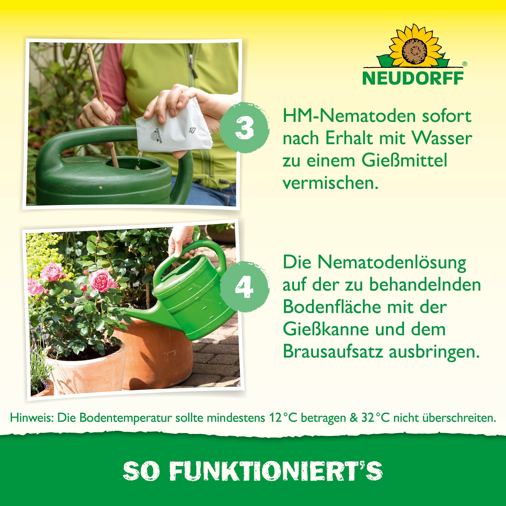 Eine Person mischt Nützlinge gegen Dickmaulrüssler von Neudorff Shop mit Wasser in einer grünen Gießkanne, um Engerlinge zu bekämpfen, und gießt die Lösung auf den Boden. Das Bild zeigt Anweisungen und Informationen in deutscher Sprache.