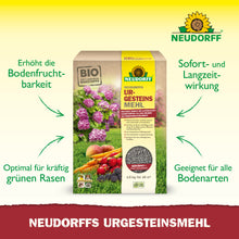 Eine Kiste Neudorffs UrgesteinsMehl aus dem Neudorff Shop steht auf einer Wiese mit Bildern von Blumen und Gemüse; grüne Pfeile zeigen Vorteile wie verbesserte Bodenfruchtbarkeit und Kompatibilität mit jedem Bodentyp.