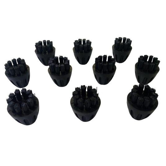 Dix brosses en nylon noires identiques destinées au TASKI Steamer de Diversey Deutschland GmbH & Co. OHG (lot de 10 pièces) sont disposées sur un fond blanc ; elles sont dotées de poils courts et rigides regroupés en touffes pour une meilleure efficacité de nettoyage.