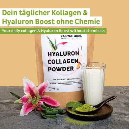 Collagène et acide hyaluronique en poudre