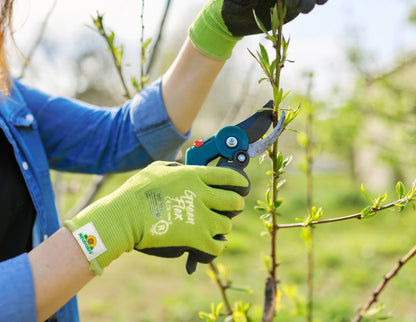 A person in a blue shirt is wearing the KIXX Green Flex glove from Neudorff Shop and cutting a leafy branch outdoors with pruning shears on a sunny day.