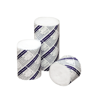 On voit trois rouleaux cylindriques de ouate dans des emballages blancs et bleus partiellement ouverts. Deux rouleaux de bande de rembourrage Holthaus Ypsiform de la société Holthaus Medical GmbH & Co. KG sont posés à la verticale, tandis qu'un rouleau est couché sur le côté, laissant apparaître l'extrémité blanche de la ouate.