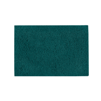 The image shows a rectangular green Kiehl-Woodmaster sanding pad, grit 100 (35 x 55 cm, 10 pieces), manufactured by Johannes Kiehl KG, against a plain white background.