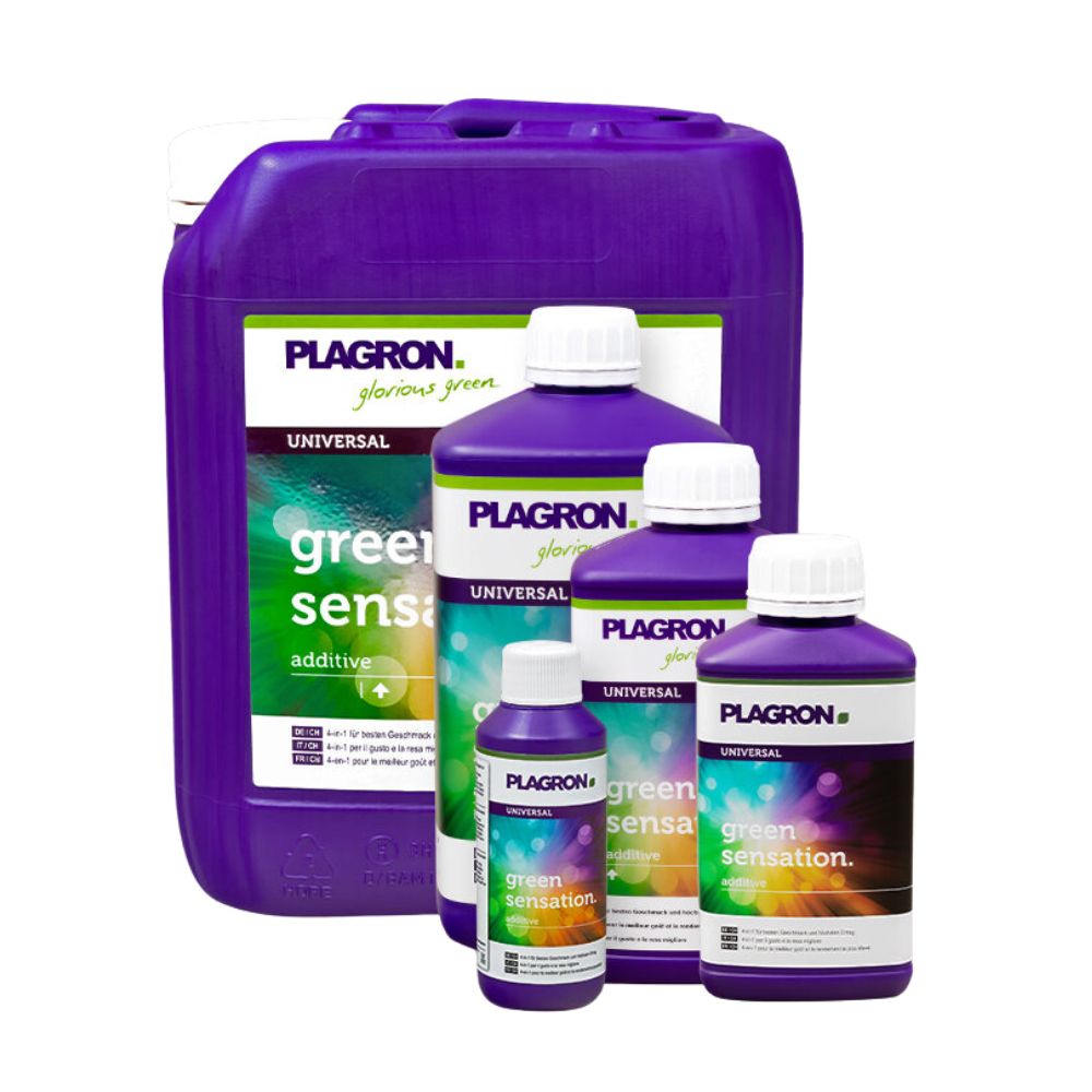 Fünf Plagron Green Sensation-Flaschen von Bertels B.V. in verschiedenen Größen steigern die Pflanzenqualität. Die violetten Flaschen mit weißen Verschlüssen und grün-weißen Etiketten verbessern die Erntequalität, wobei die größte hinten liegt.