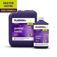 Image of two Plagron Power Roots containers from Bertels B.V.: a large square one and a smaller bottle, both purple. The labels highlight “faster root development” with a “new formula” containing humic acids, in bright yellow and purple.