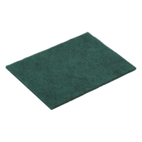 The Vileda Professional Green "Strong" Handpad, measuring 15 x 22 cm and sold in a set of 10 by Vileda GmbH, features a rectangular green scouring pad on a white background and is designed for professional cleaning.